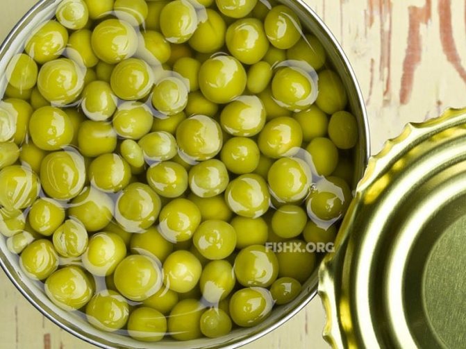 Горох и горошек, насадка для ловли весной
