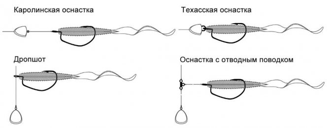 Каролинская оснастка для спиннинга: монтаж снасти, техника ловли