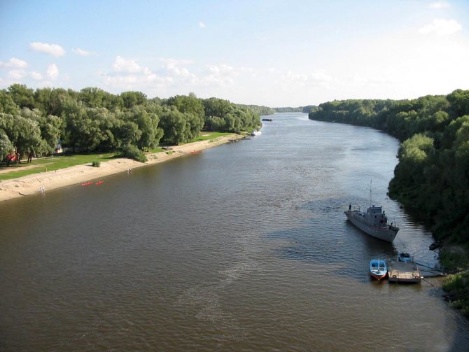 река десна