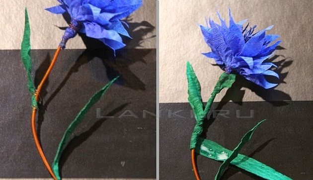 Василек из бумаги своими руками: варианты изготовления